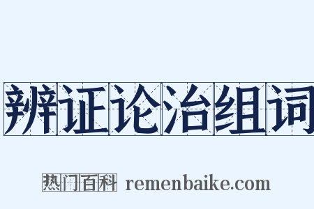 辨证论治组词是什么意思的图片